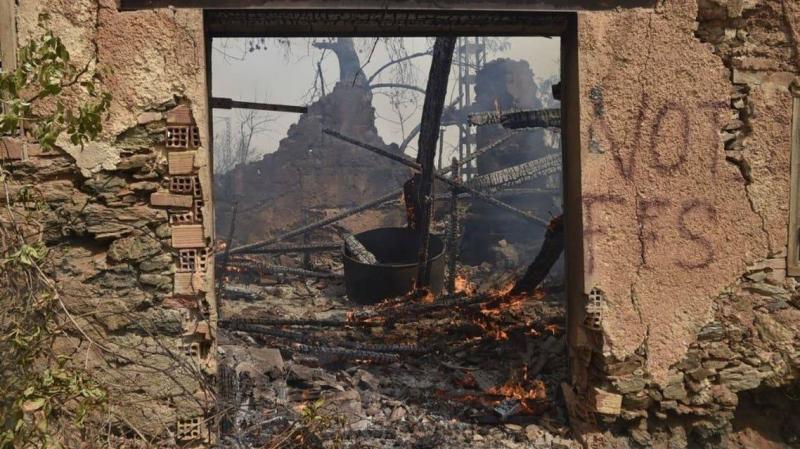 Title: Algeria: Criminal Act Behind the Fires, Locations Selected Precisely