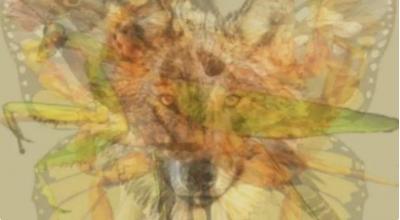 Look at the Picture and Discover Your Personality