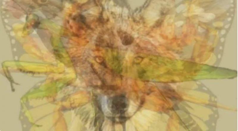 Look at the Picture and Discover Your Personality