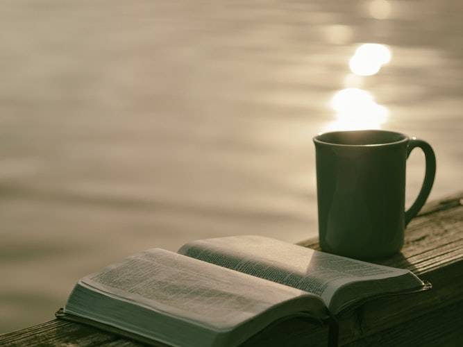 Drinking Hot Tea in Summer Cools the Body