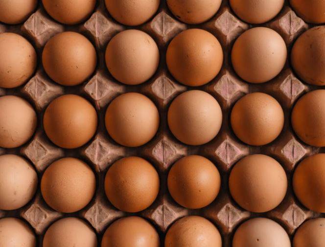 The Difference Between White and Brown Eggs