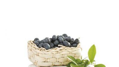 Fruits That Help Keep the Mind Alert