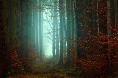 ## Nightmares in Children: When to Be Concerned