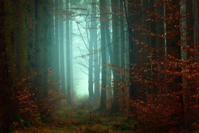 ## Nightmares in Children: When to Be Concerned