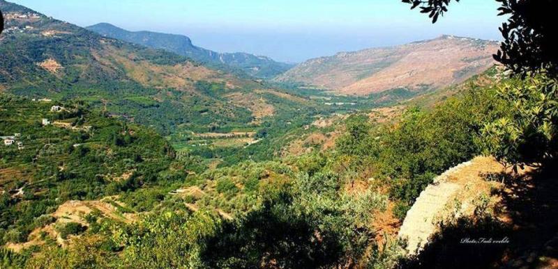 Study on Bisri Dam: High Earthquake Risks
