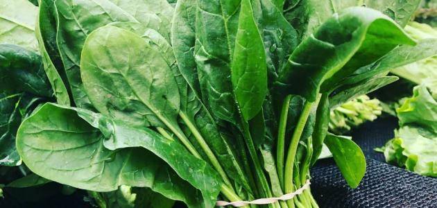 Foods That Detoxify Your Body During Ramadan: Spinach and Broccoli Among Them