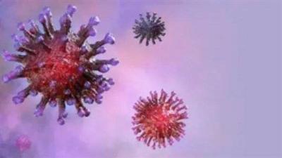 "Tomato Flu": A New Contagious Disease and Its Symptoms!
