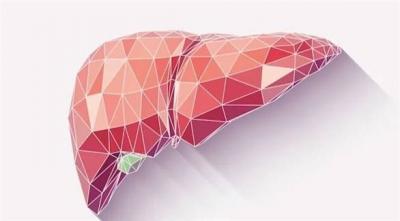 Scientists Warn of the Dangers of "Chemical Substances" on the Liver