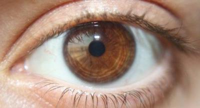 Scientific Breakthrough: Reviving Eye Function After Hours of Death