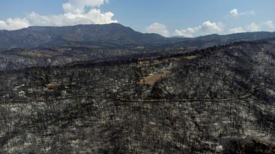 Greece Announces Firefighters' Control Over Fires