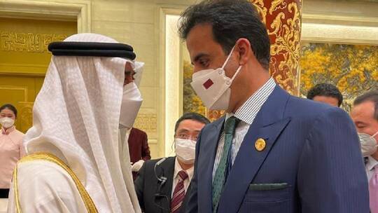 Friendly Meeting and Extended Handshake Between the Emir of Qatar and Crown Prince of Abu Dhabi
