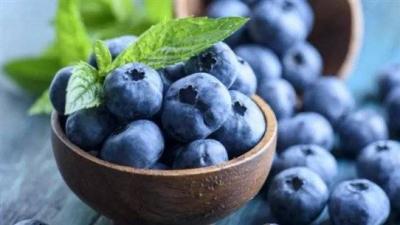 Foods That Facilitate Weight Loss