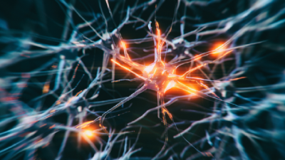 Daily Habit that May Help Prevent Alzheimer's Disease