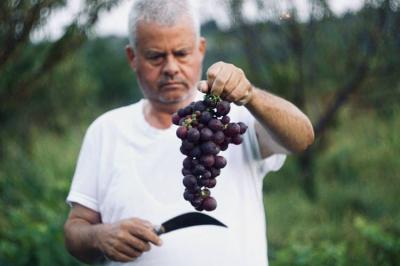 Does Nutrition Affect the Appearance of Aging Signs?