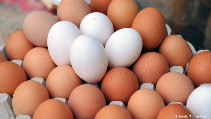 Egg Color and Nutritional Value: Brown vs. White