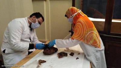 New Information About the Mummy of Ramses VI