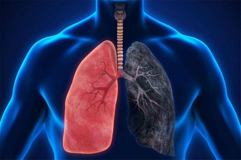 Heart and Lung Damage Results from Low Air Pollution Levels