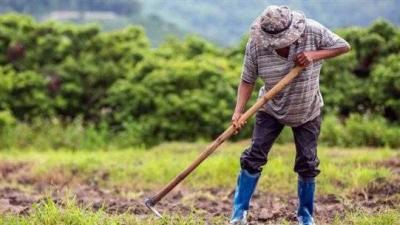 A Sector Struggling: The Crisis is Resolved, But Will It Happen Again?