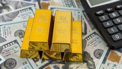 The Rush for Gold: Uncertain Profit and Illiquid Savings