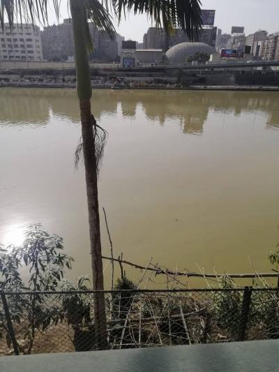 Sudden Change in Nile Water Color Sparks Panic in Egypt
