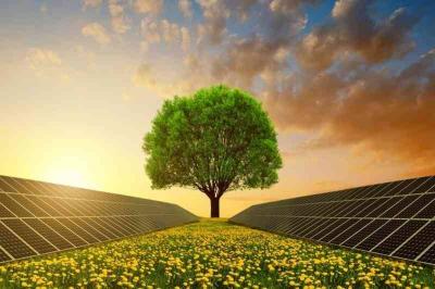 UAE's Commitment to Clean Energy Despite Oil Abundance