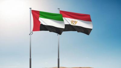UAE and Egypt: Partnership in Facing Challenges and Protecting Regional Security