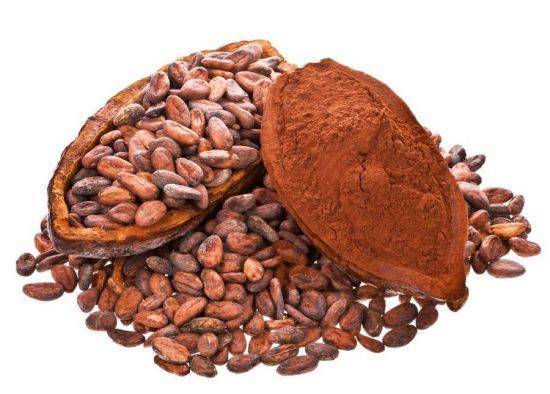Cocoa Flavanols May Enhance Memory in the Elderly