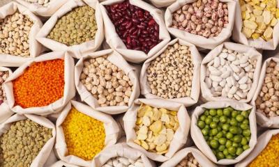 Legumes: An Essential Part of the Diet