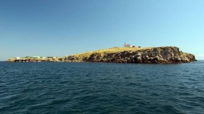 The Importance of Snake Island and Russia's Withdrawal from It