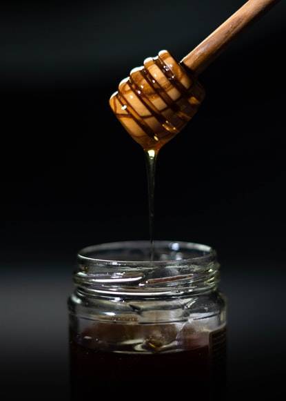 Honey Transforms into Brain-like Computer Chips