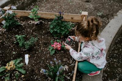 Calming Children with Smart Devices Robs Them of a Necessary Skill
