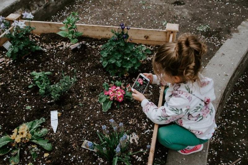 Calming Children with Smart Devices Robs Them of a Necessary Skill
