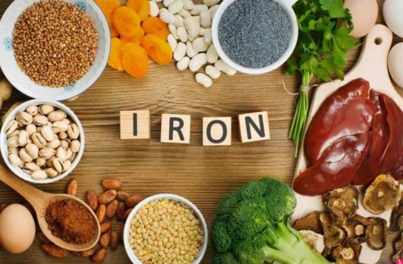 Study Confirms That Increased Iron Levels in the Blood Reduce Lifespan