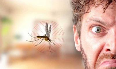 What Colors Attract Mosquitoes?