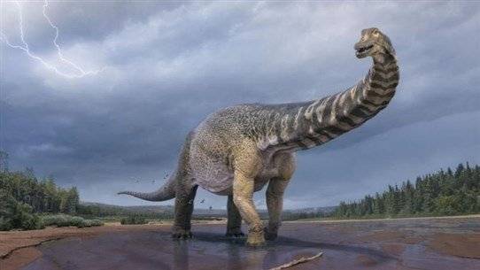 Dinosaurs Have Passed Through Lebanon... 