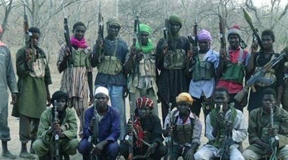 Al-Azhar Observatory: Boko Haram is Using Drones
