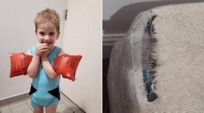 British Child Eats Carpets and Household Furniture
