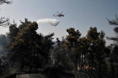 Forest Fire Threatens Homes Near Athens