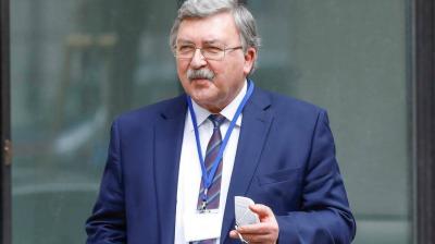 Oliyanov: Vienna Negotiations Are Close to a Successful Conclusion