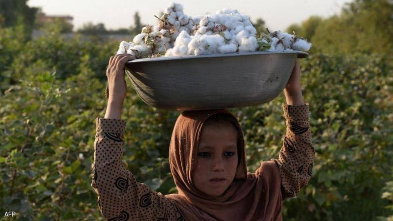Syria's White Oil Threatened by ISIS, Drought, and Rising Costs