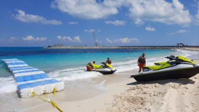 Shark Attack Claims in Egypt: The Truth Behind the Incident