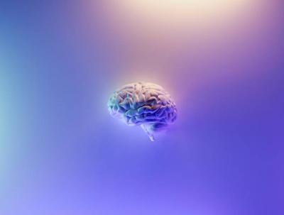 A Big Secret Revealed: Why the Brain Consumes a Large Amount of Energy