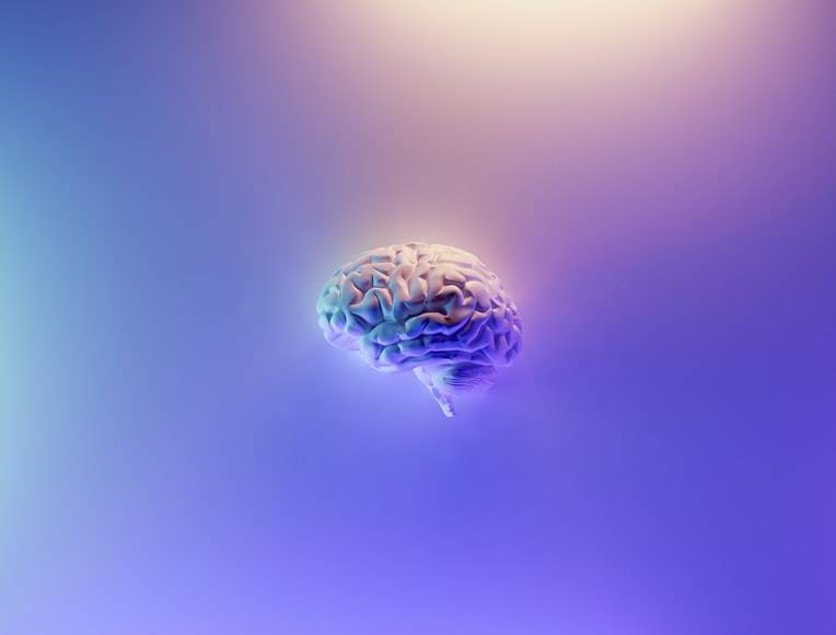 A Big Secret Revealed: Why the Brain Consumes a Large Amount of Energy