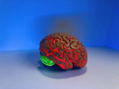 What Happens in the Brain When We Think About the Future?