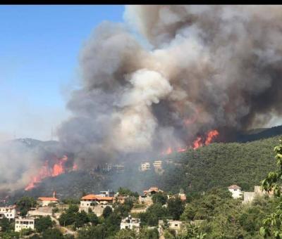 Massive Fire Threatening Residents Destroys Lebanon's Largest and Most Important Pine Forest