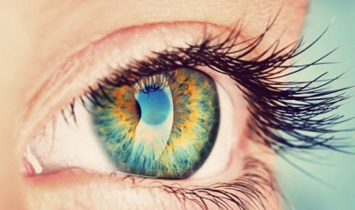 Discovery of Methods to Treat Blindness by Implanting Stem Cells from Donor Eyes