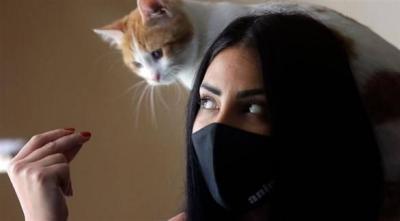 In Lebanon... After People, the Severe Crisis Also Threatens Pets