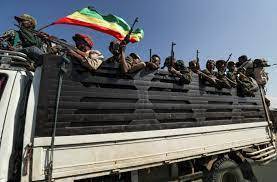 # Ethiopian Orthodox Church Leader: Tigray War is Genocide
