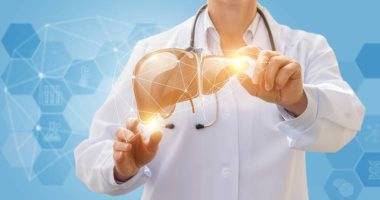 New Study: Liver Transplants Can Be Replaced with Small Organ Cultivation Techniques in the Laboratory