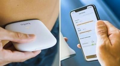 Portable Device for Measuring Body Fat Percentage in Seconds